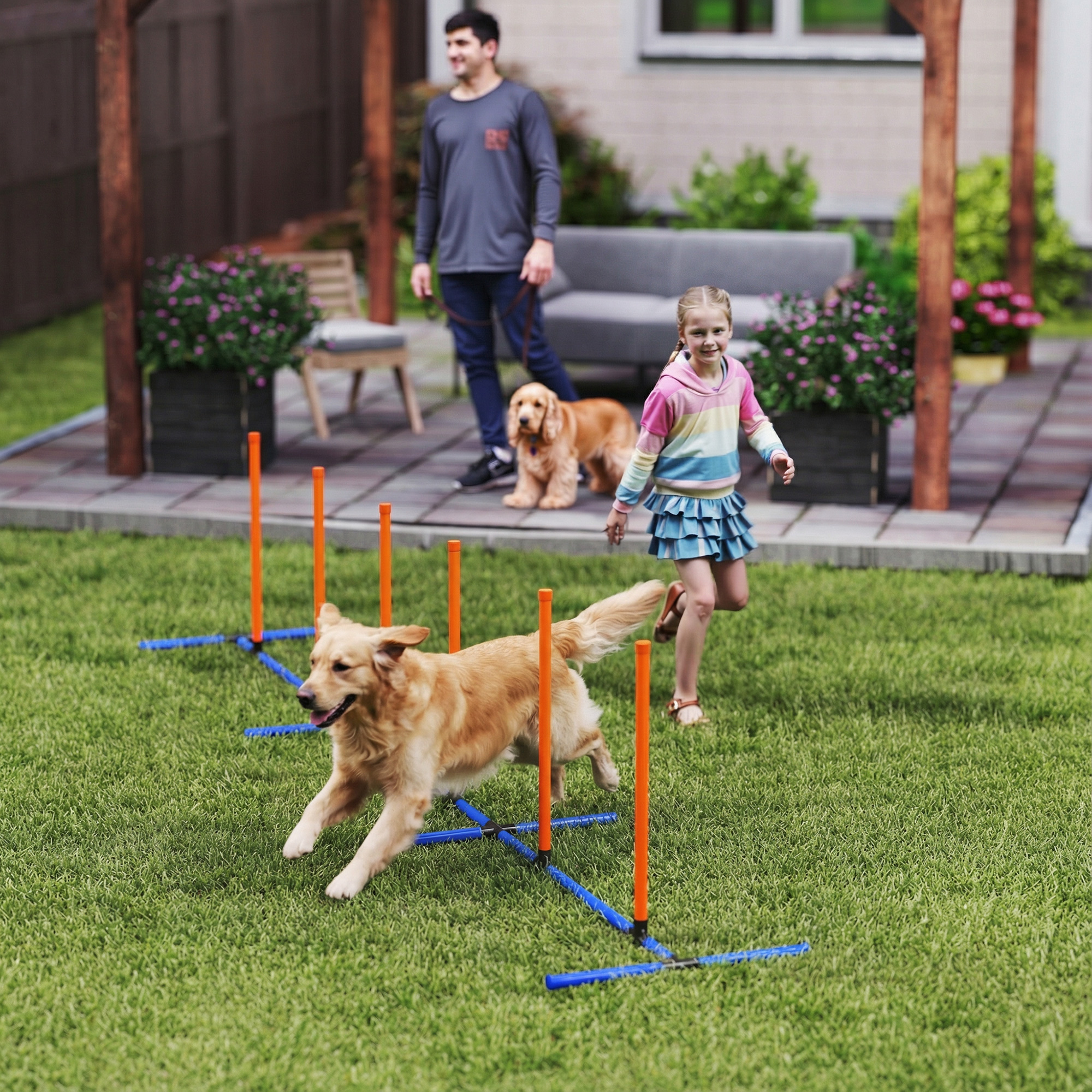 Adjustable Dog Agility Pole Set